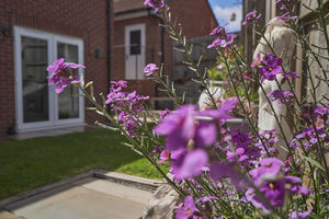 Garden- click for photo gallery